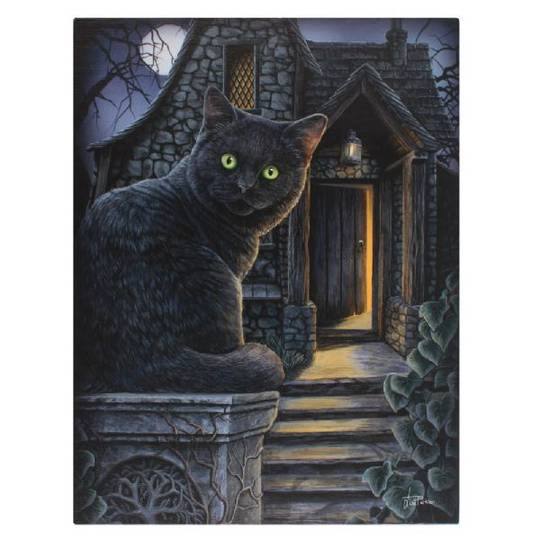Small What Lies Within Cat Canvas